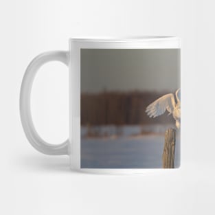 Snowy Owl taking off Mug